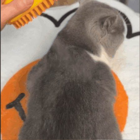 Cepillo vaporizador utilizado para retirar pelo suelto de una mascota